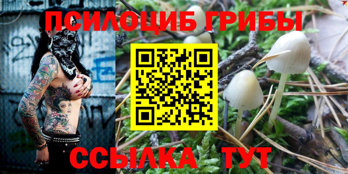 Псилоцибиновые грибы Magic Shrooms  Вход с VPN  Ревда 